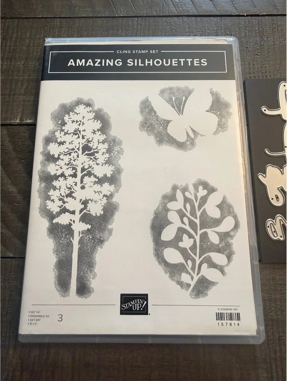 Stampin’ Up Amazing Silhouettes stamp set and Amazing Thanks Dies die cut set